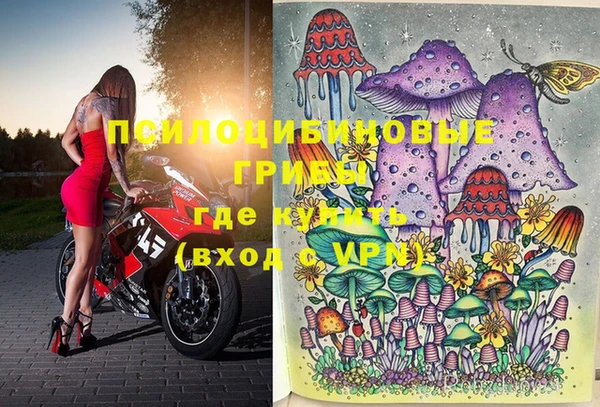 ПСИЛОЦИБИНОВЫЕ ГРИБЫ Зеленокумск