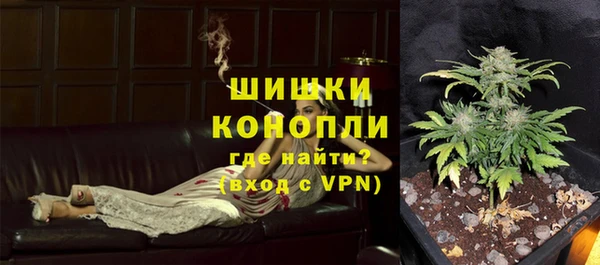 ПСИЛОЦИБИНОВЫЕ ГРИБЫ Зерноград