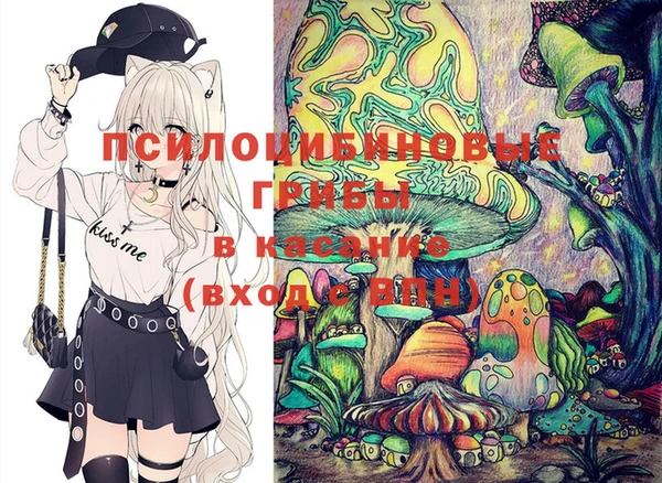 ПСИЛОЦИБИНОВЫЕ ГРИБЫ Зеленокумск